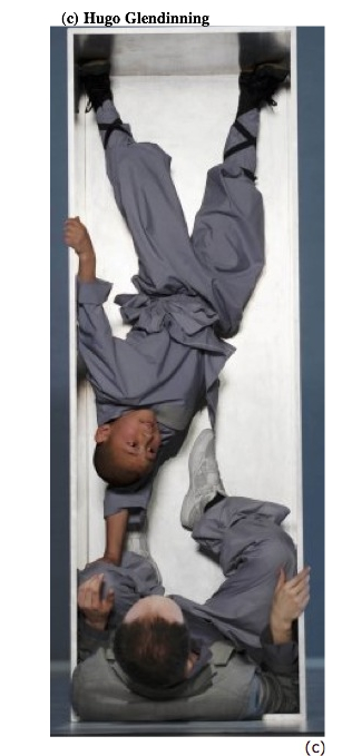 sutra1.jpg