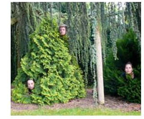 spectacleparcourssensibledanslesjardins.jpg