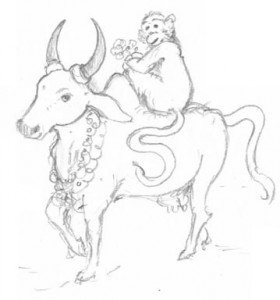 vache