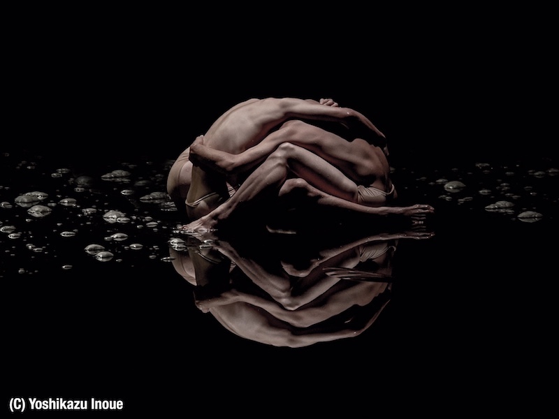 vessel