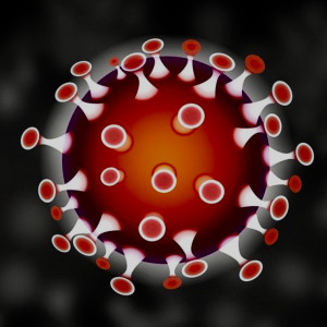 Le Corona  virus 