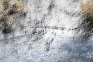 France 2018 - 0272