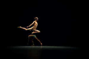  © Rui Palma