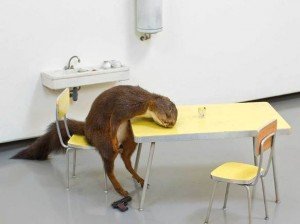 ©Maurizio Cattelan, Bidibidobidiboo, 1996. Tazidermed squirrel, ceramic, Formica, wood, paint and steel. 45 cm. x 60 cm. x 48 cm. Fondazione Sandretto Re Rebaudengo, Turin. Photo, Zeno Zotti.
