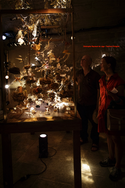 160709_rdl_0013