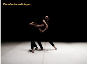 PierrePontianne©cieparc_motifs_HD_5